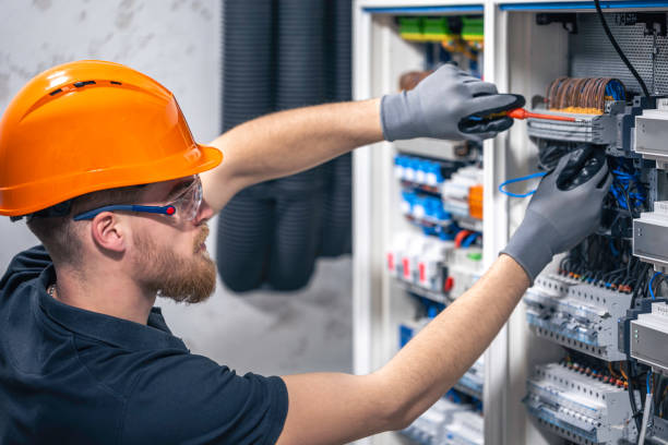 Best Electric Panel Repair  in Garden City South, NY